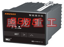 溫度表、數(shù)字顯示儀、濕度表