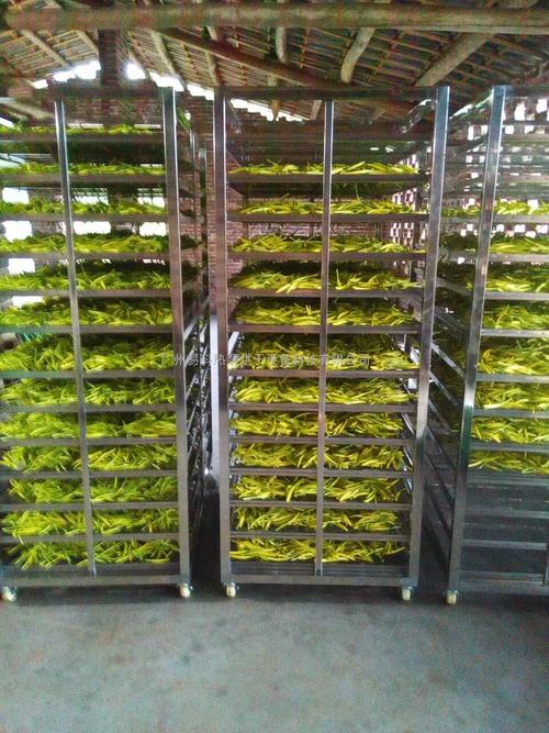 黃花菜烘干機、黃花菜烘干設(shè)備、黃花菜干燥機、黃花菜干燥設(shè)備、
